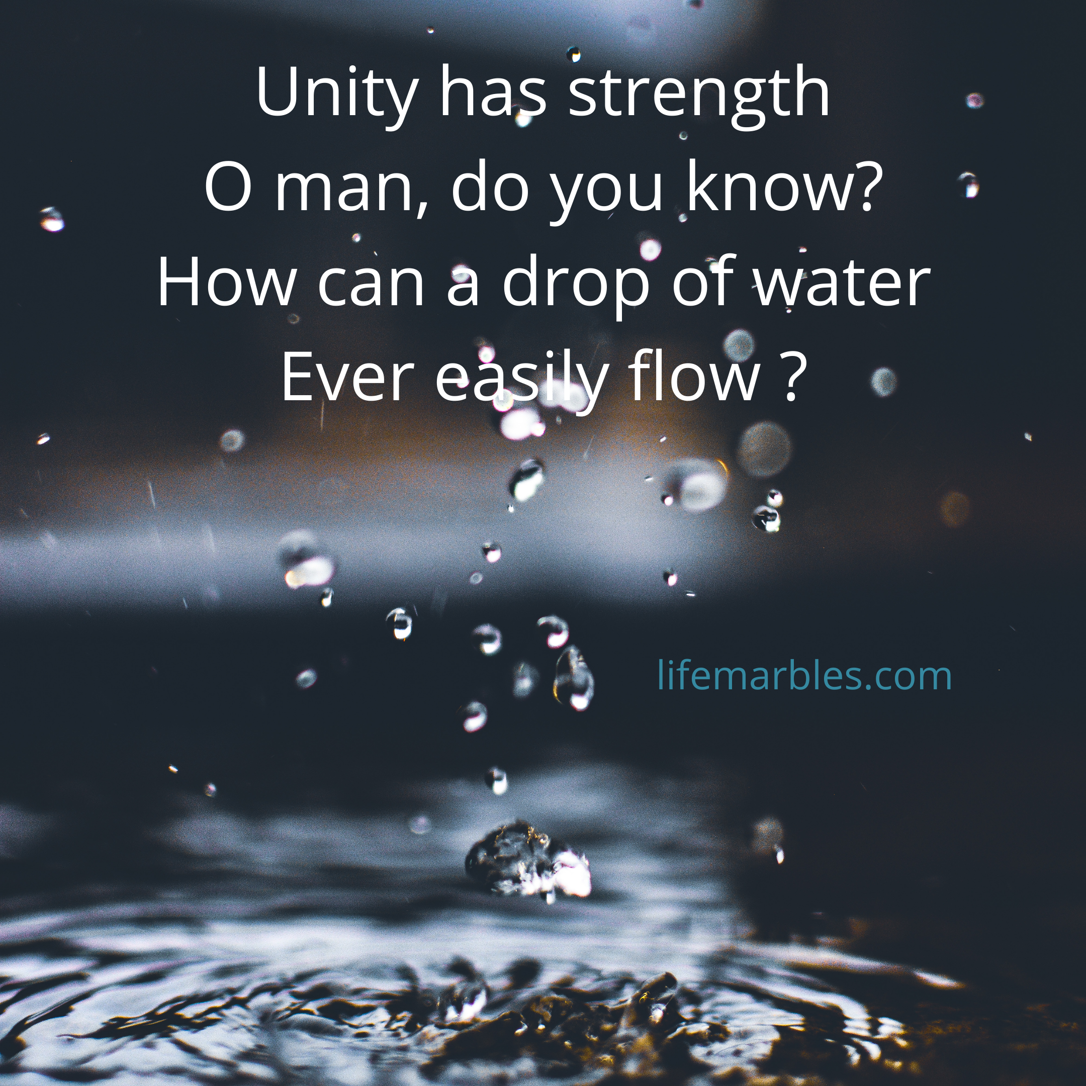 Read more about the article Brightness of unity will forever glow !