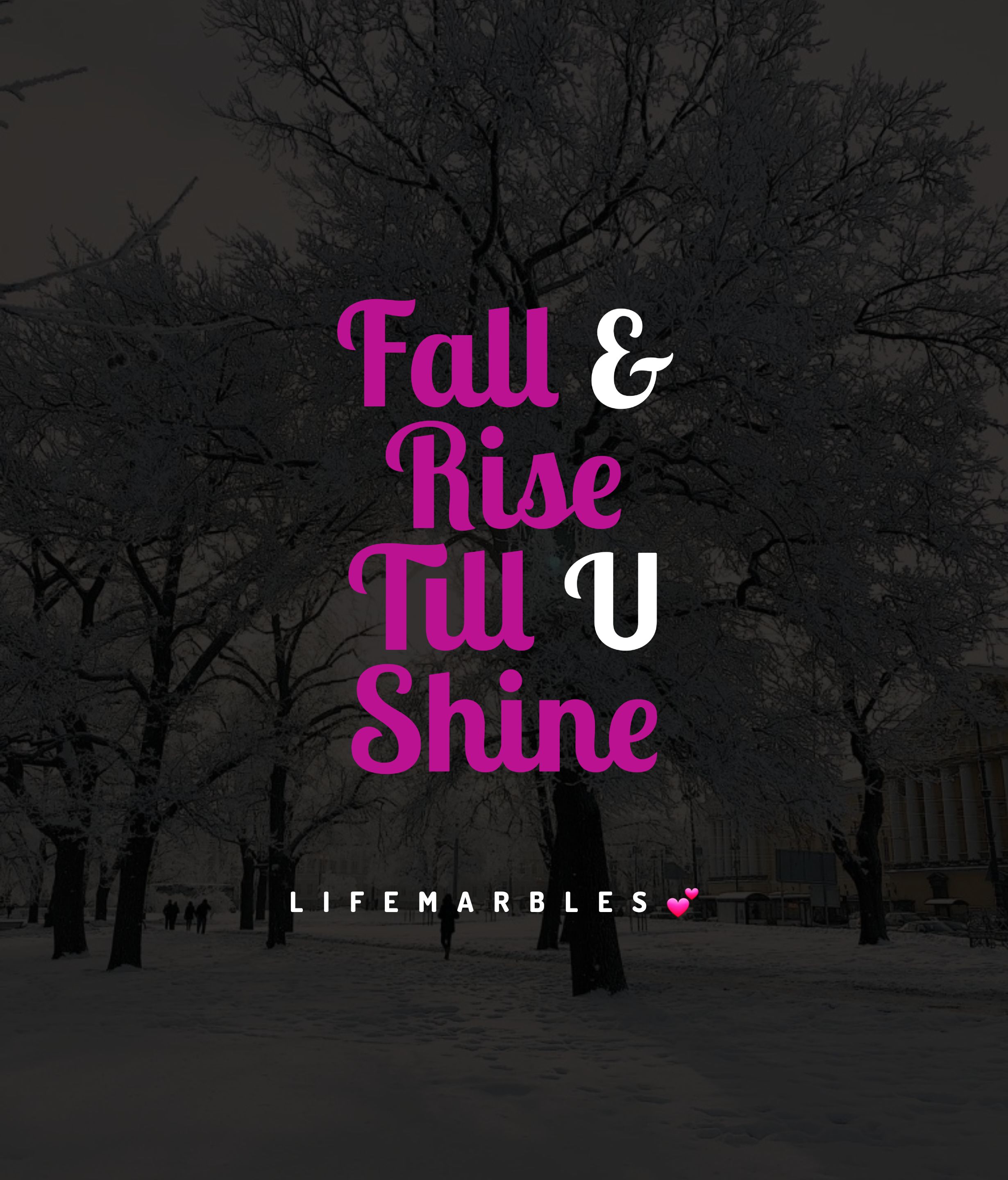 Read more about the article Lets fall n rise #lifequotes